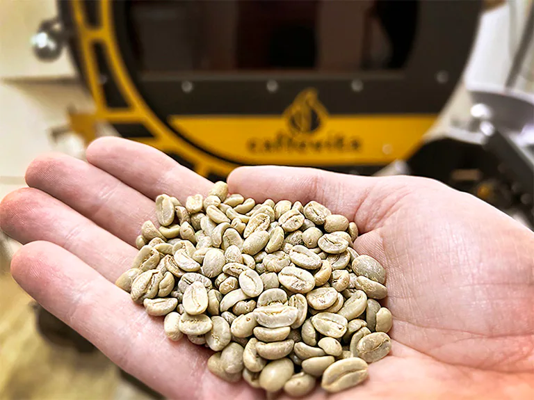 Green_coffee_Caffevita800
