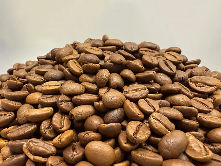 India_Monsoon_Malabar_beans (1)
