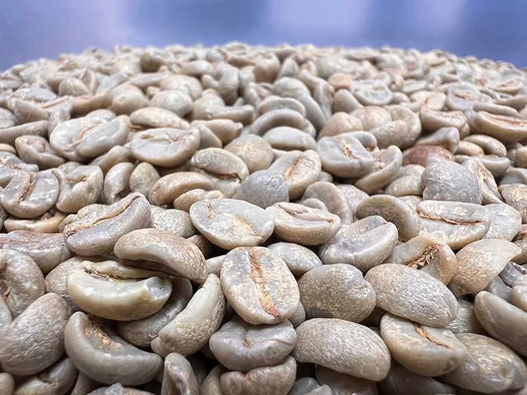 Brazil-Santos-green-beans