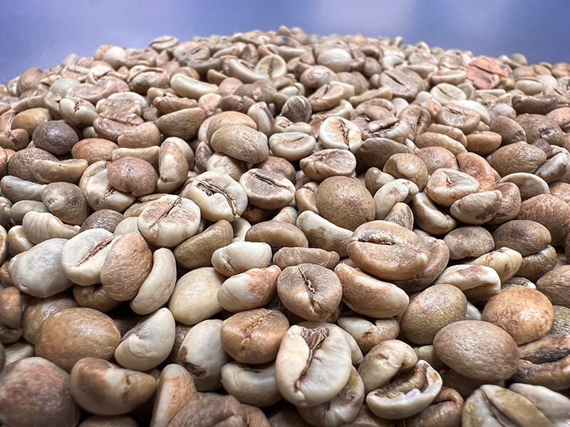 Uganda-robusta-green-beans Кофе Уганда Робуста зеленое зерно