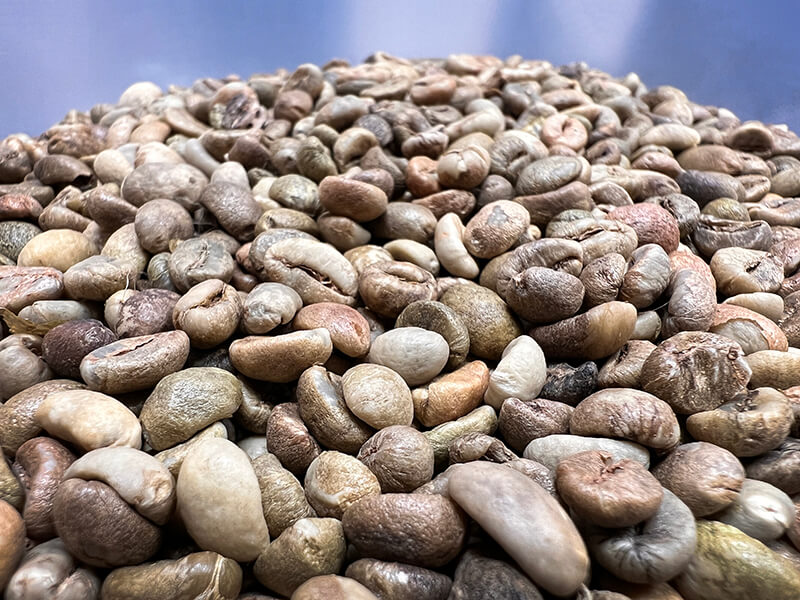 Vietnam-Robusta-green-beans Кофе Вьетнам Робуста зеленое зерно
