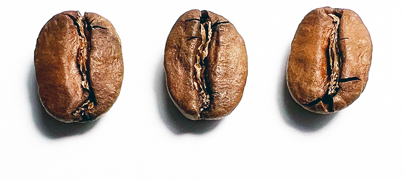 Arabica3