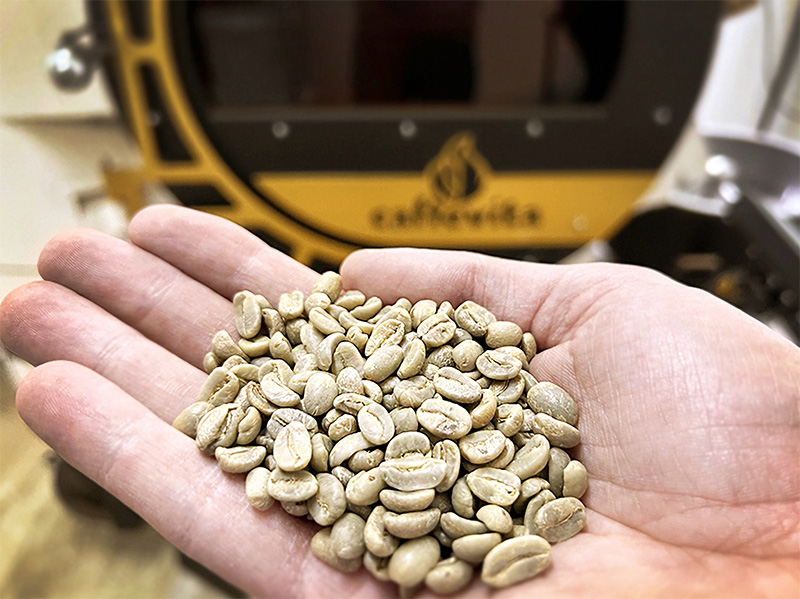 Green_coffee_Caffevita800